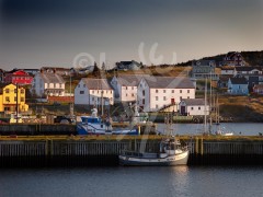 Bonavista - Ryan Premises